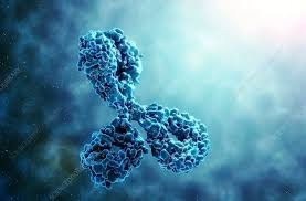 Antibody for Test Line